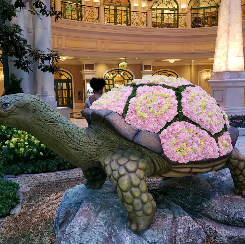 Meet your Posher, Eira